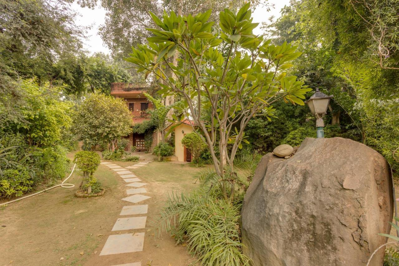 Hostie Chinar Haveli - Heritage Home With Pool, Gurgaon Esterno foto