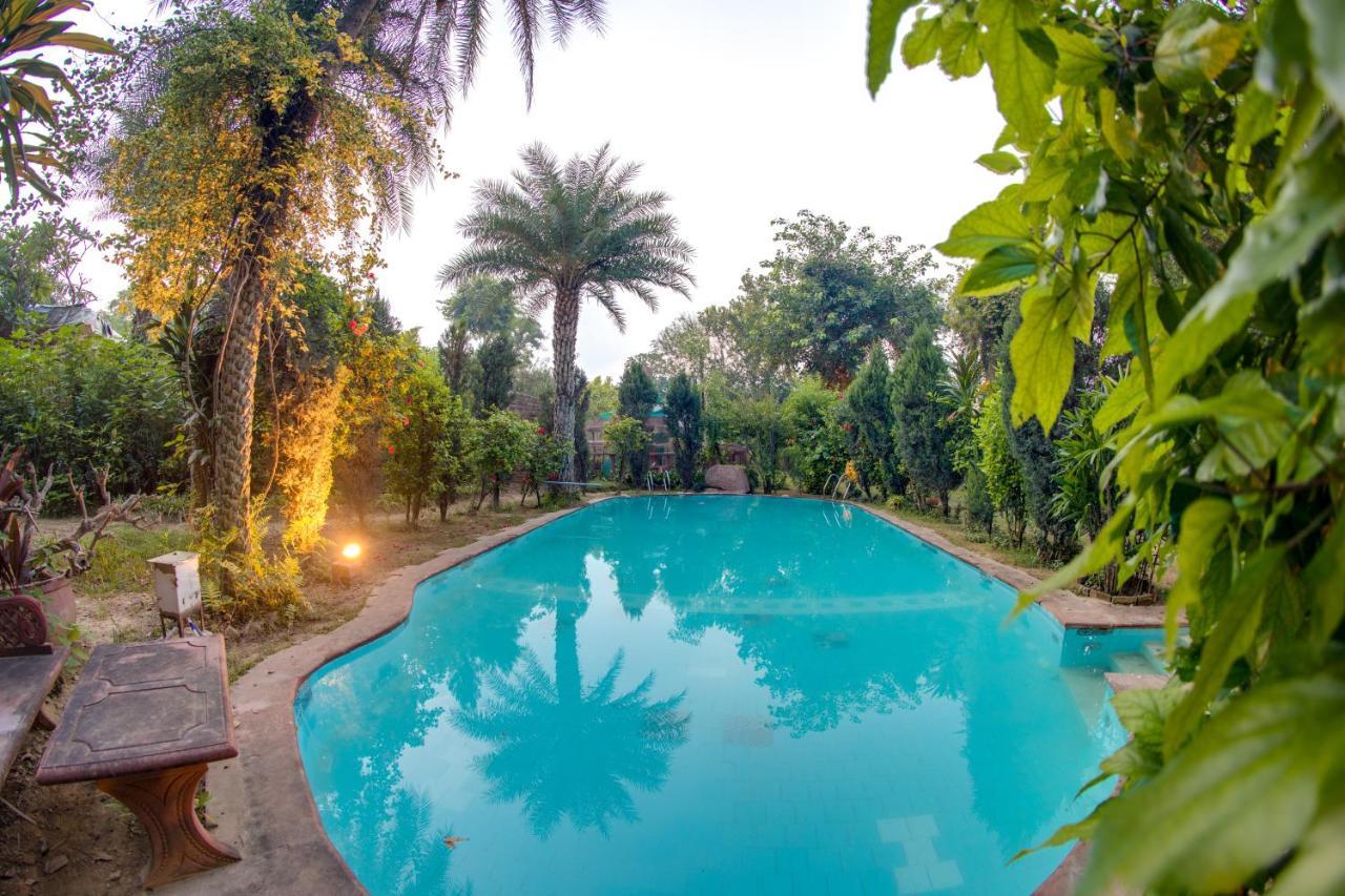 Hostie Chinar Haveli - Heritage Home With Pool, Gurgaon Esterno foto