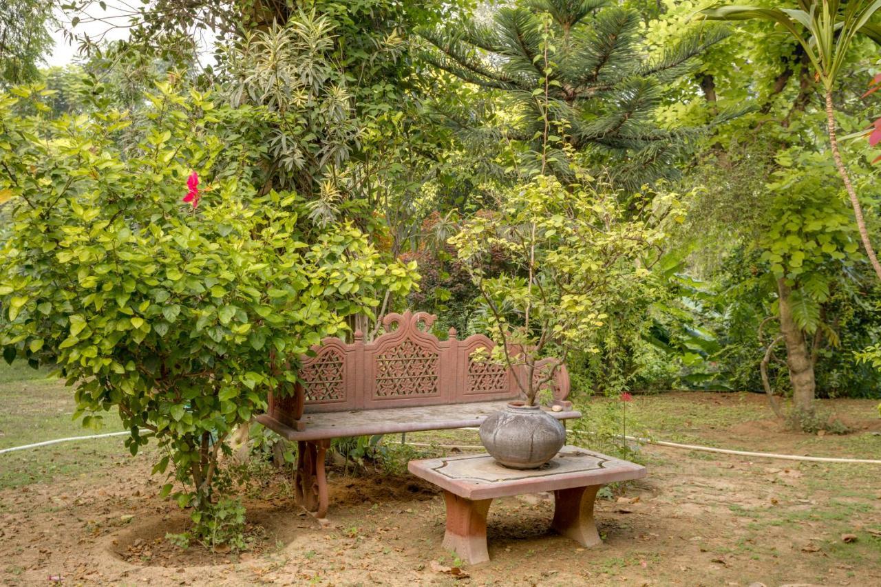 Hostie Chinar Haveli - Heritage Home With Pool, Gurgaon Esterno foto