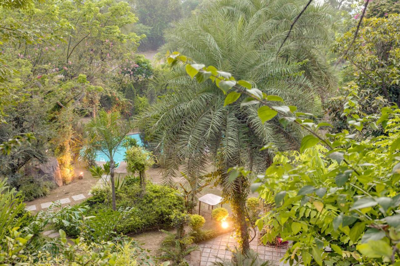 Hostie Chinar Haveli - Heritage Home With Pool, Gurgaon Esterno foto