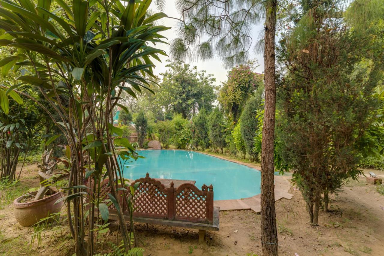 Hostie Chinar Haveli - Heritage Home With Pool, Gurgaon Esterno foto
